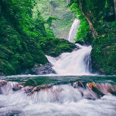 我在清朝当宰相gm礼包版下载
