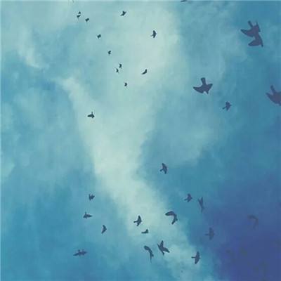异界召唤师手游(暂未上线)v1.0.2 安卓版